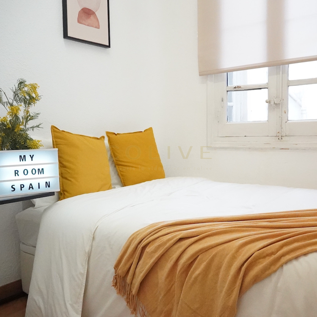 G41-5R5-Salamanca-Goya 41-6456