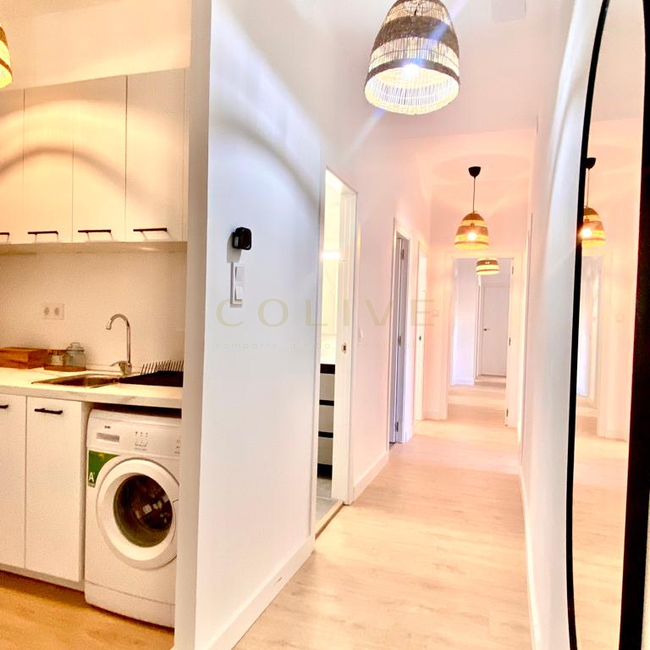 RLLR3-Centro-Redondilla-7632