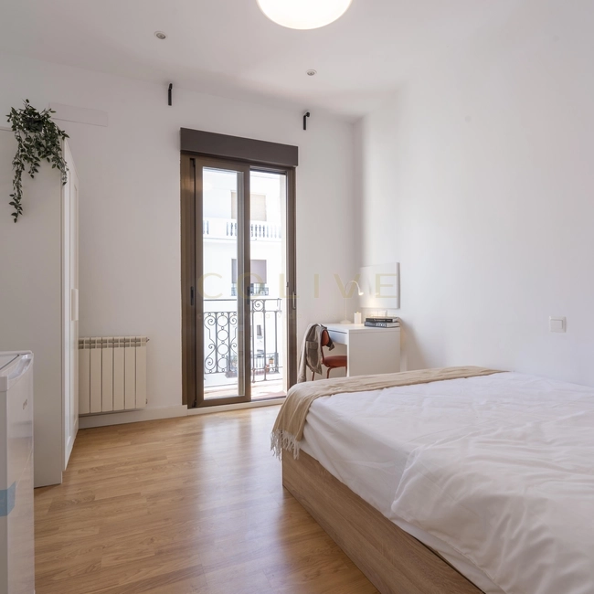 SE154-5R3-Chamberí-Santa Engracia-11586