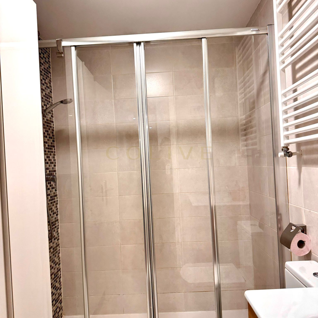 IF20R1-Centro-Calle de las Infantas-8530