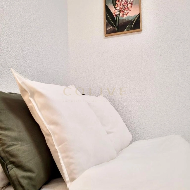 V4R5-Centro-de la Villa-7223