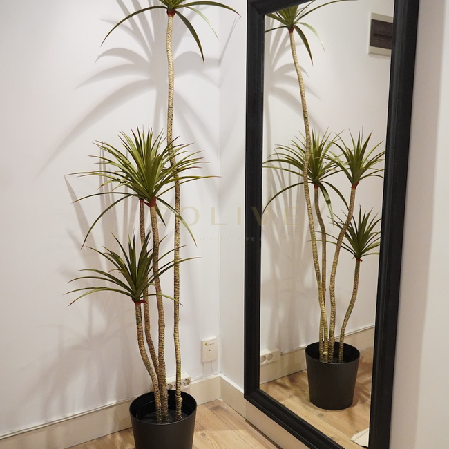 Chamartín-Enrique Larreta-1438