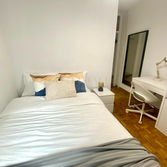 SRNR1-Chamartín-San Ramon Nonato-7335