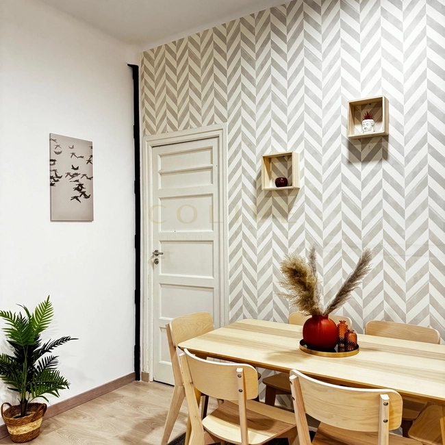 S81.1R2-Salamanca-Calle Serrano-8938