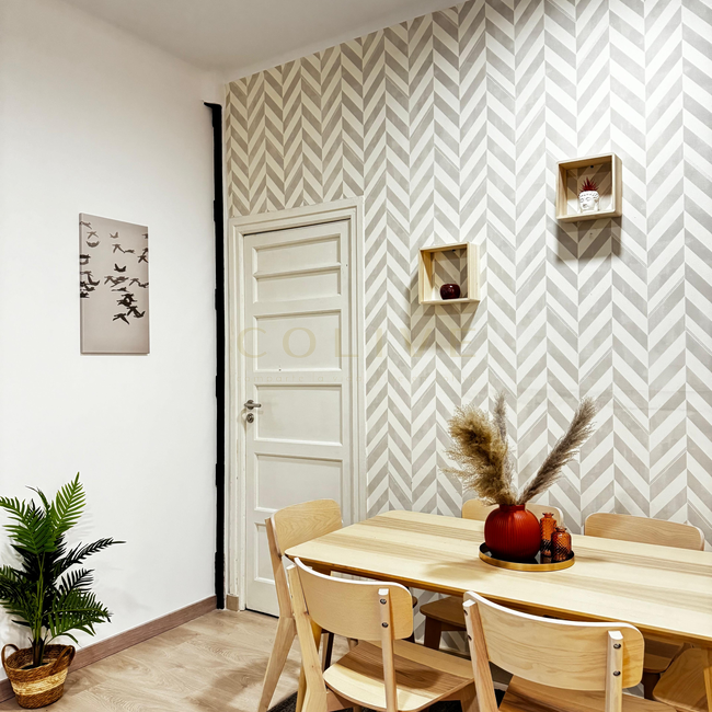 S81.1R2-Salamanca-Calle Serrano-8938