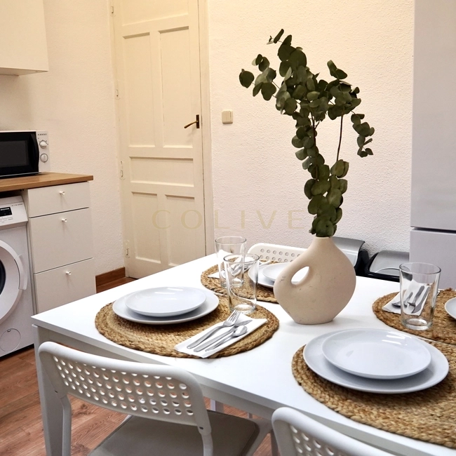 G41-5R2-Salamanca-Goya 41-11076