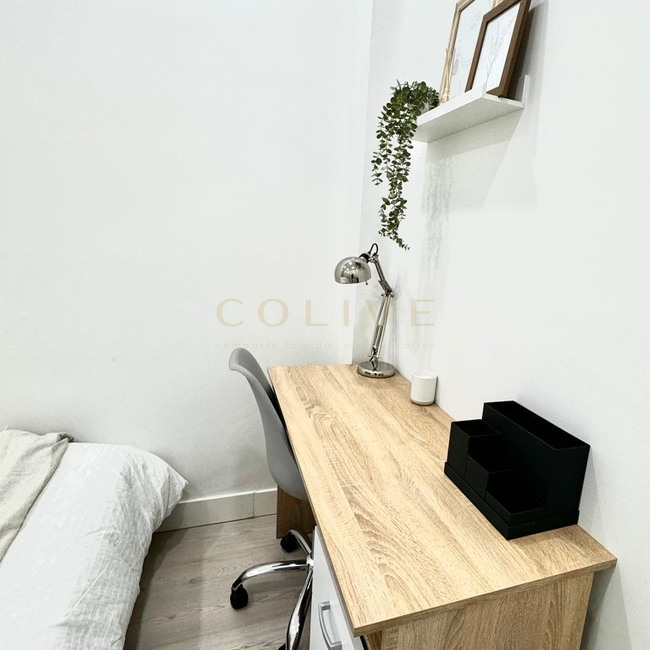 S81R1-Salamanca-Serrano-7773