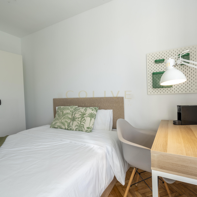 SEG21R3-Centro-Segovia-10580