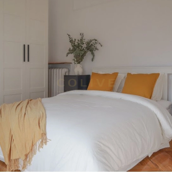 G41-5R2-Salamanca-Goya 41-11072