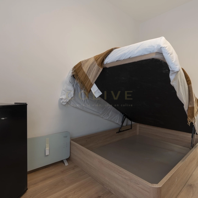 SE154-4-R2-Chamberí-Santa Engracia, 154-10835