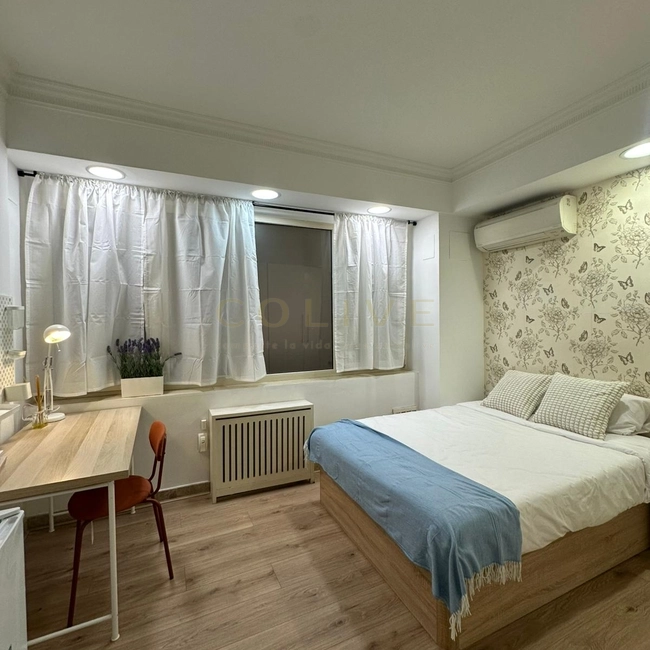 AY48R4-Salamanca-Ayala-11394