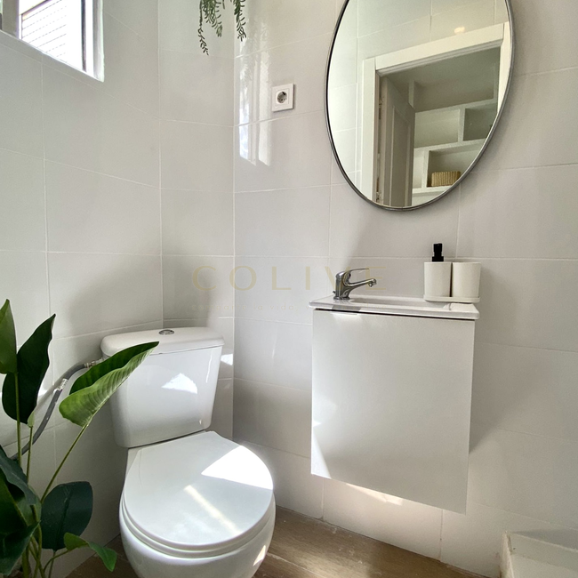 G114R3-Salamanca-Goya 114-8427