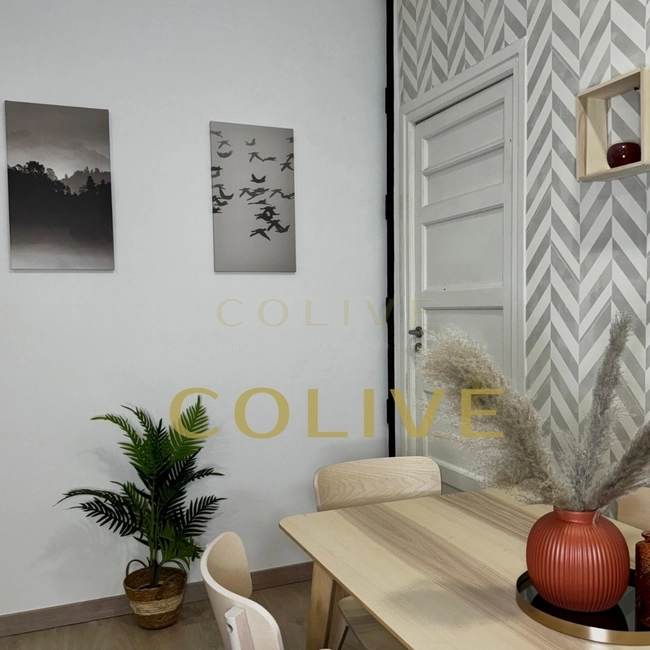 S81.1R3-Salamanca-Calle Serrano-9282