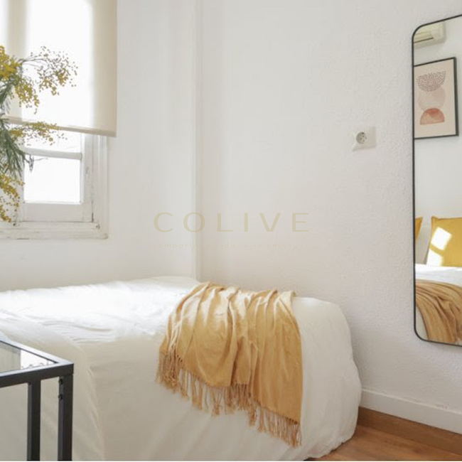 G41-5R5-Salamanca-Goya 41-6460