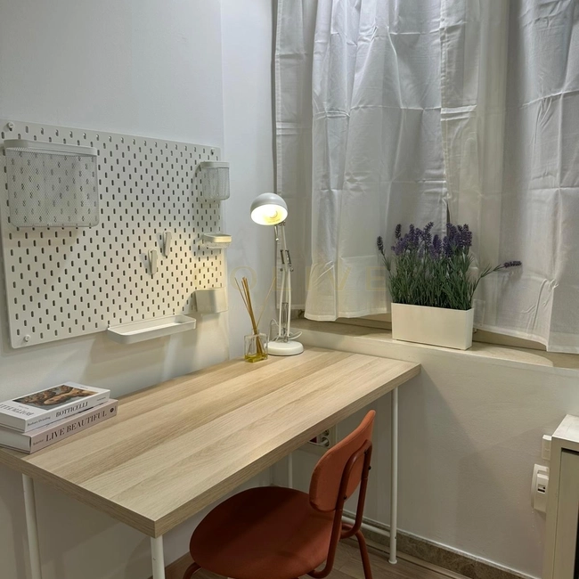 AY48R4-Salamanca-Ayala-11392