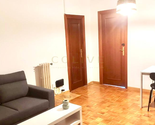 SRNR5-Chamartín-San Ramon Nonato-7286