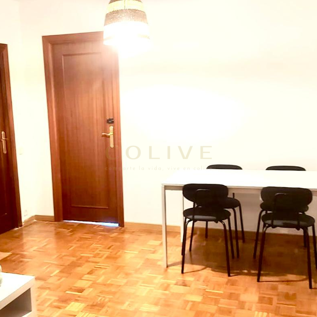 SRNR1-Chamartín-San Ramon Nonato-7349