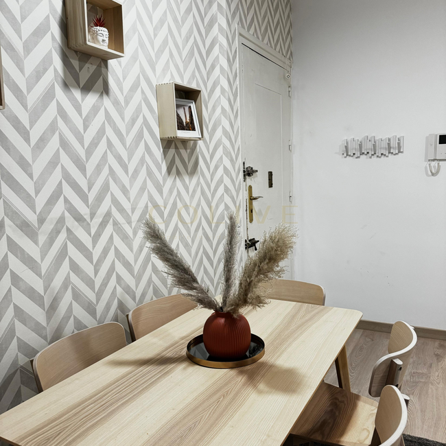 S81.1R1-Salamanca-Calle Serrano-8923