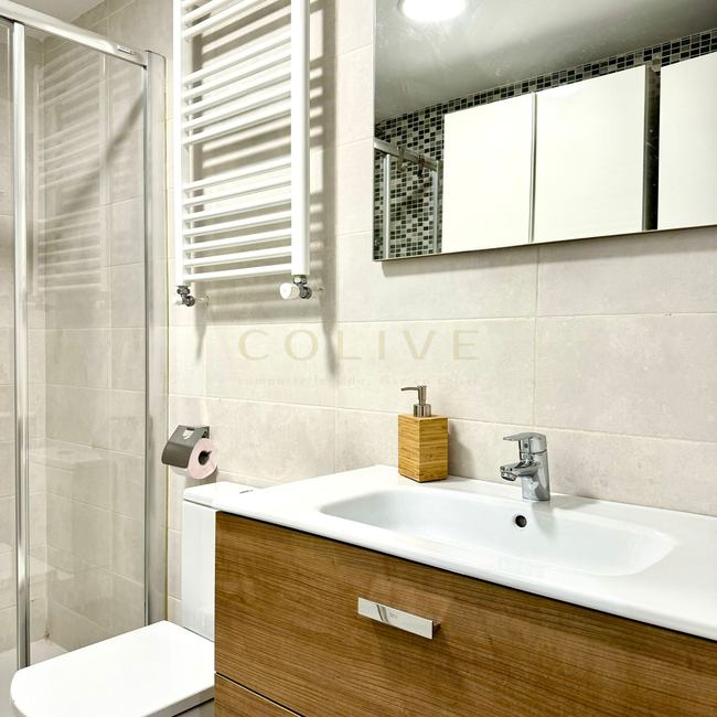 IF20R2-Centro-Calle de las Infantas-8551