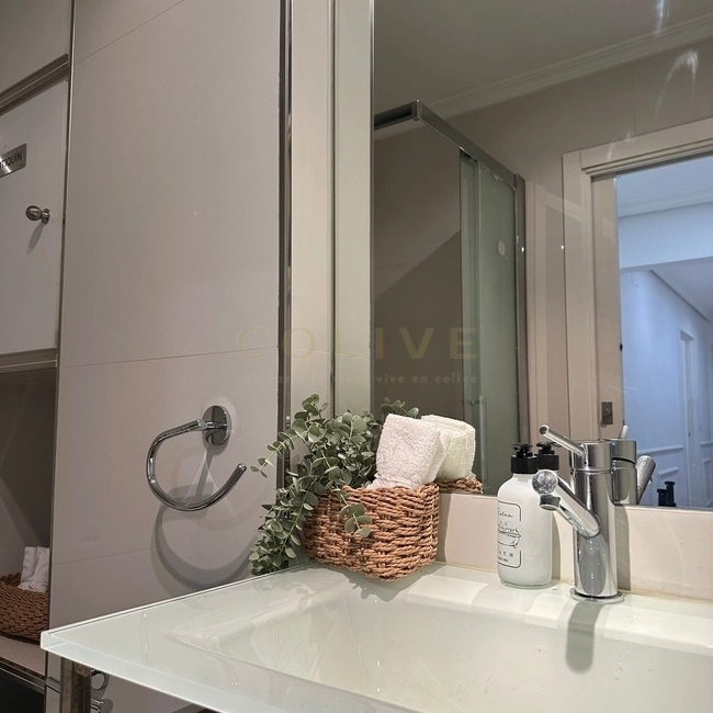 AY48R5-Salamanca-Ayala-11481