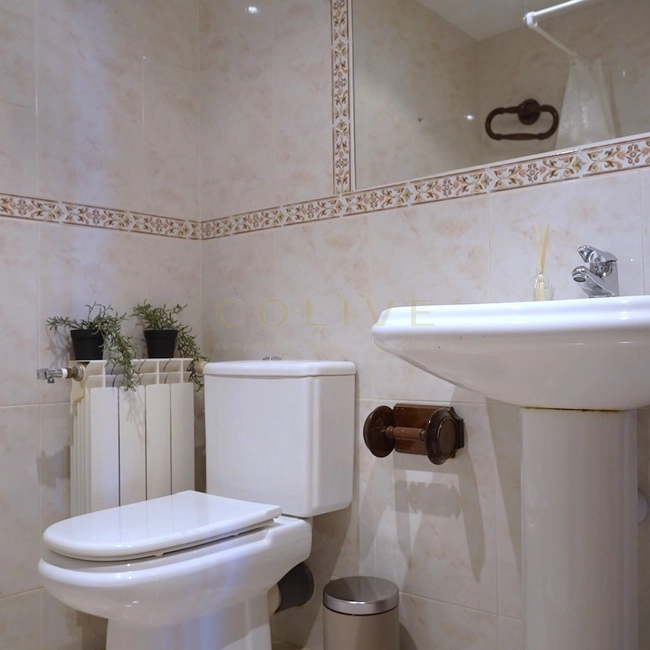 Baño con plato de ducha