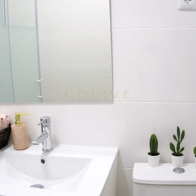 SB15R5-Centro-Santa Brigida-11146