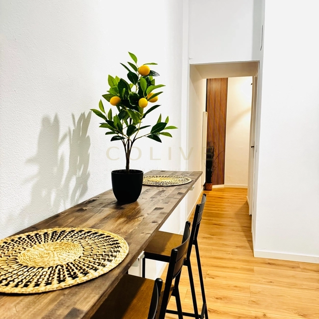 DRC60-2R2-Salamanca-Don ramón de la cruz-10728