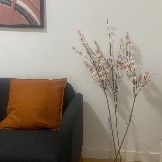 Salamanca-Goya 114-1513