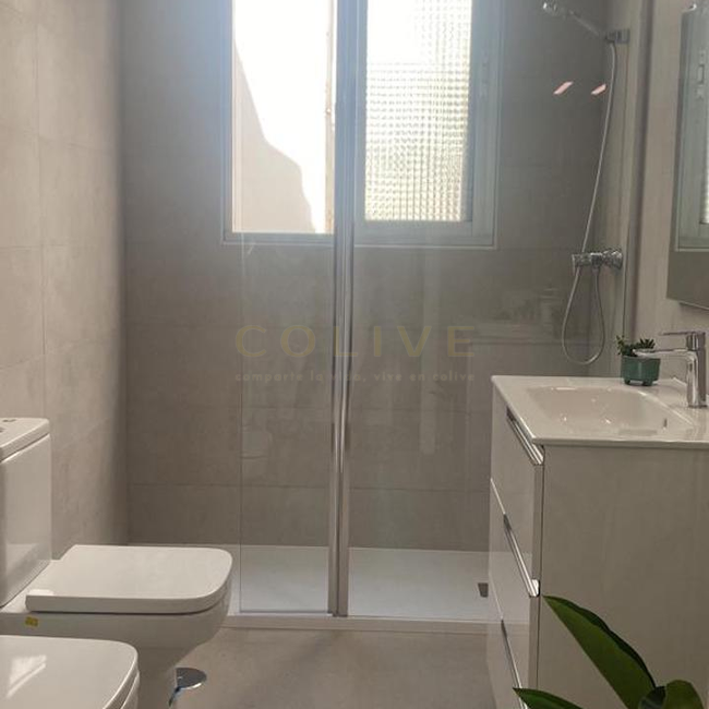 Salamanca-Goya 114-1519