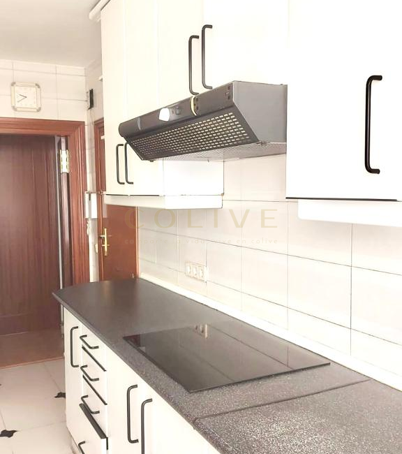 SRNR4-Chamartín-San Ramon Nonato-7300