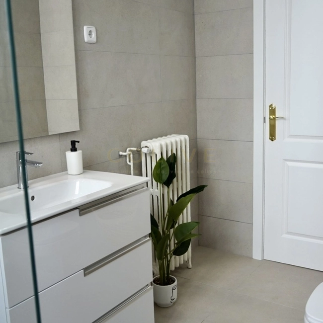 G114R3-Salamanca-Goya 114-11085