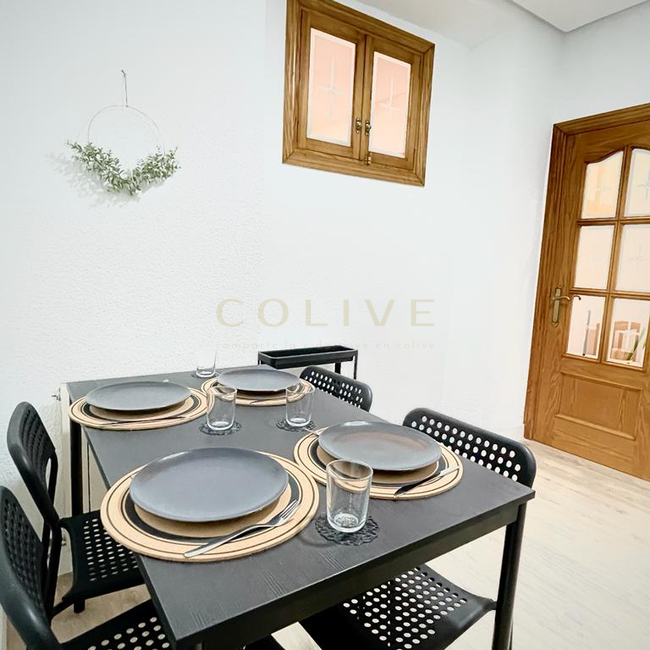 V4R1-Centro-de la Villa-7265