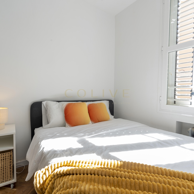 SEG21R1-Centro-Segovia-10294