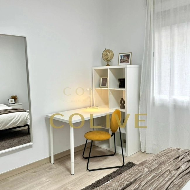 S81.1R3-Salamanca-Calle Serrano-9267