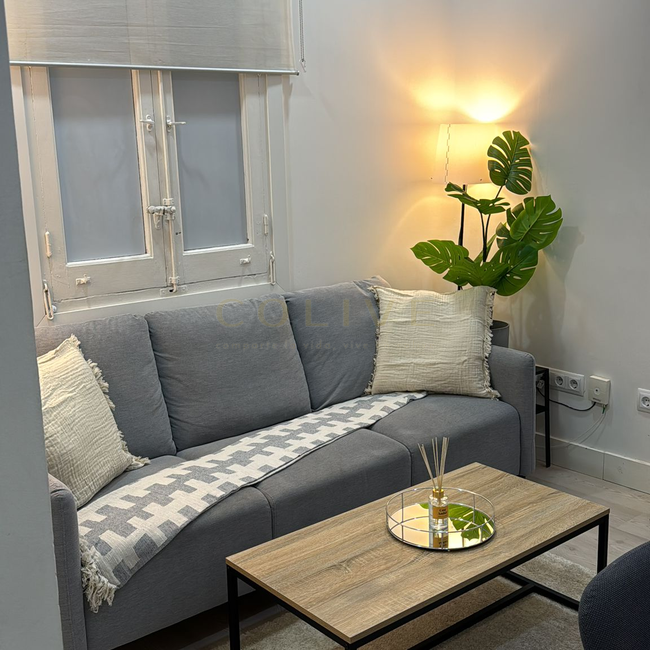 S81R2-Salamanca-Serrano-7810