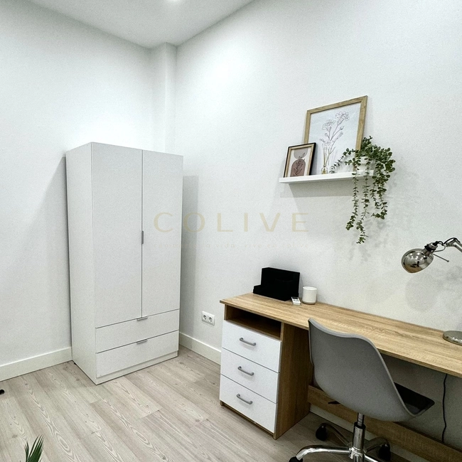 S81R2-Salamanca-Serrano-7806